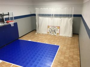 Indoor Home Gyms & Courts | Athletic Surfaces | Millz House